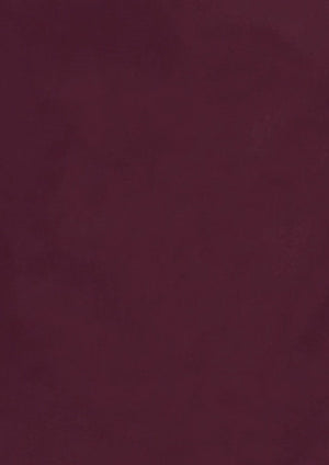 Hudson Womens Long Sleeve Shirt