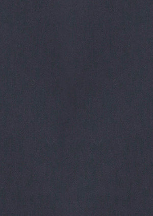 Metro Mens Long Sleeve Shirt